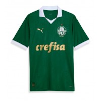 Palmeiras Replica Home Shirt 2024-25 Short Sleeve